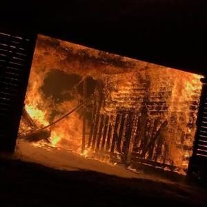 Meet your Posher, Quinn